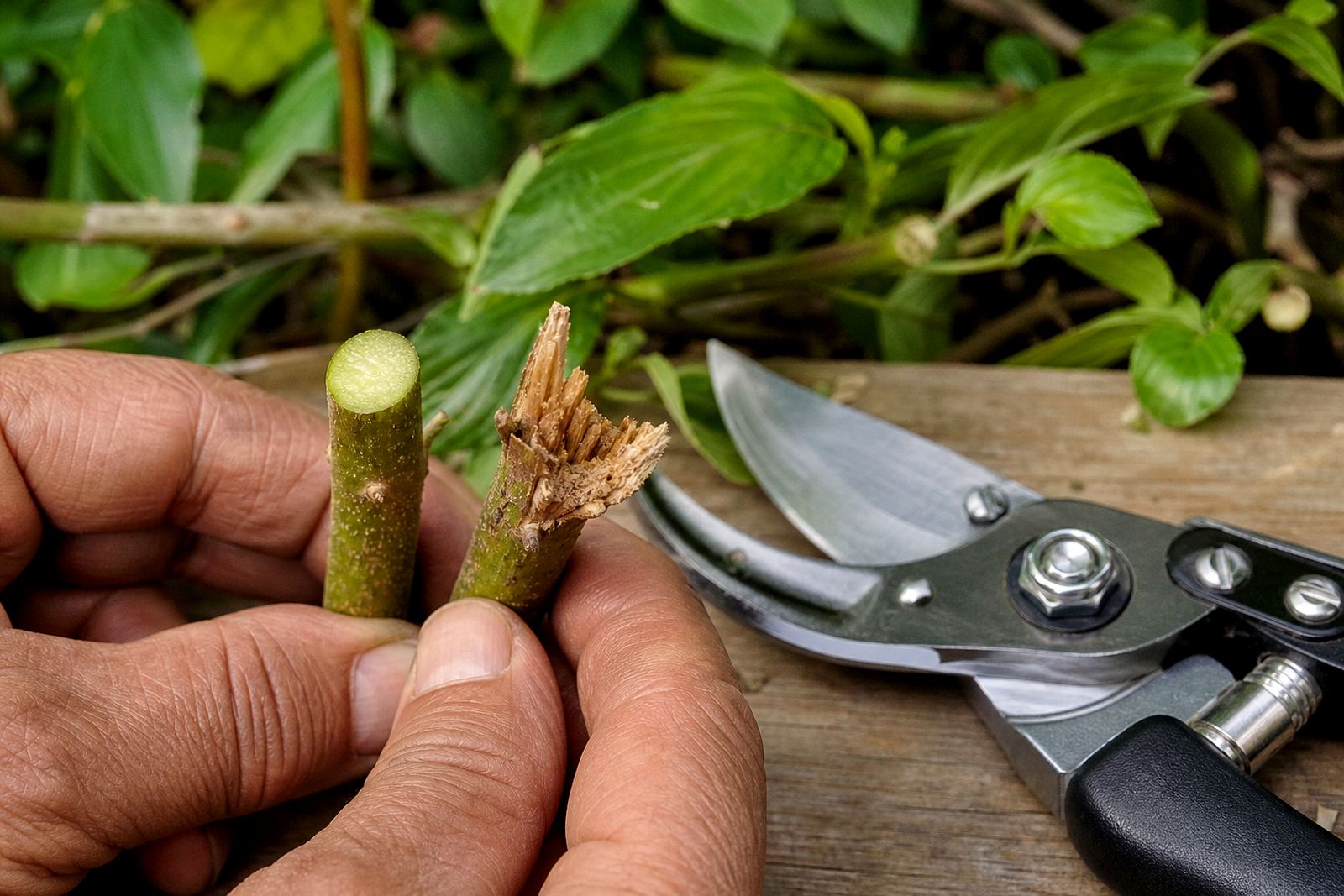 Why Clean Cuts Matter
