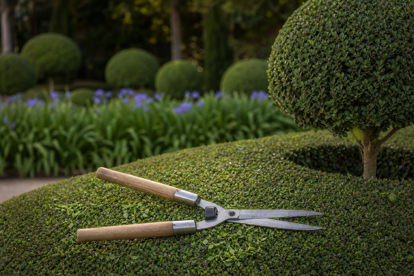 Straight Hedge Shears